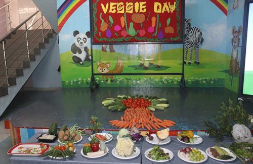 Veggie-Day4